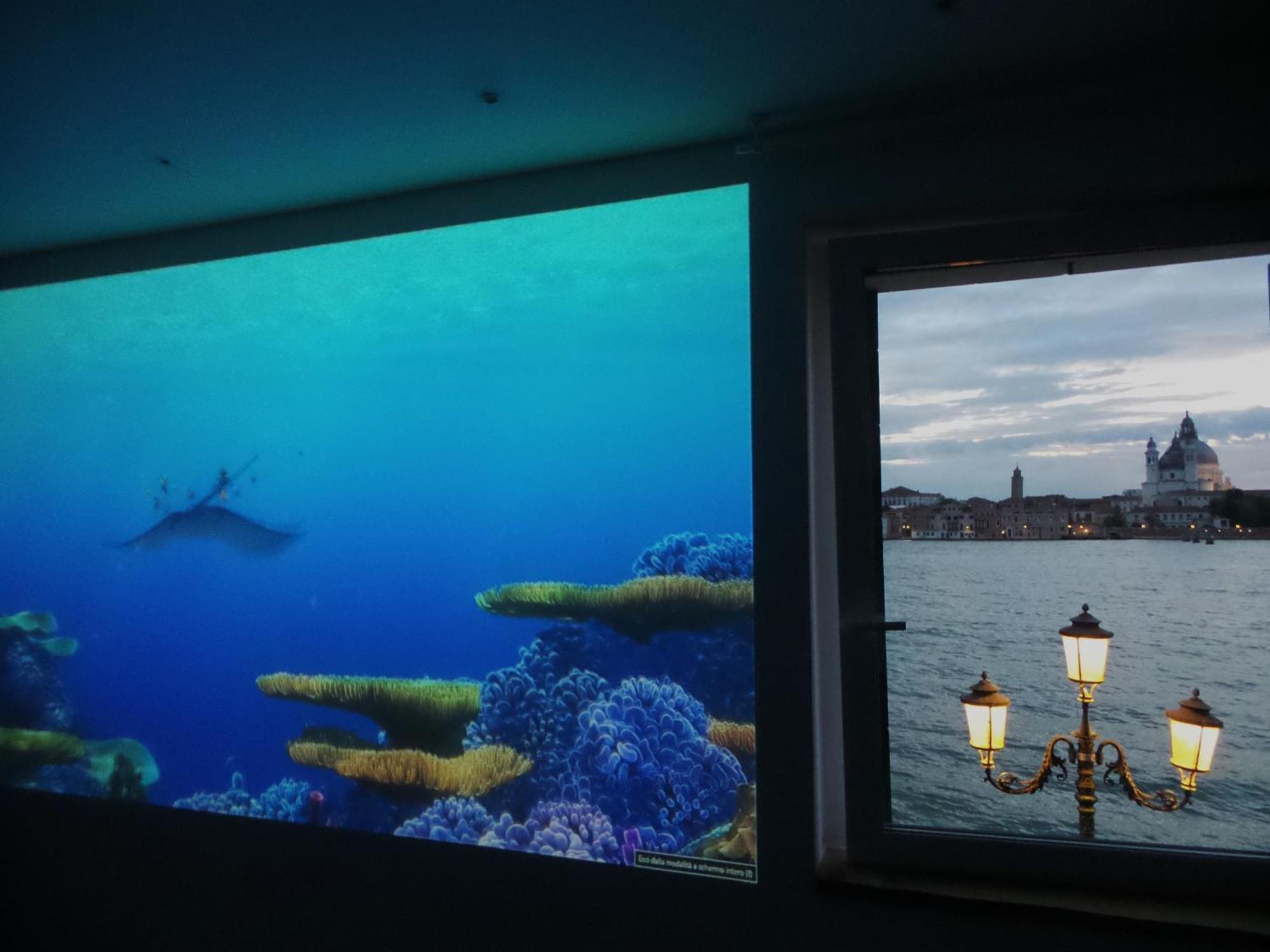 3 Windows On St Mark - Waterfront Apartment 베니스 외부 사진